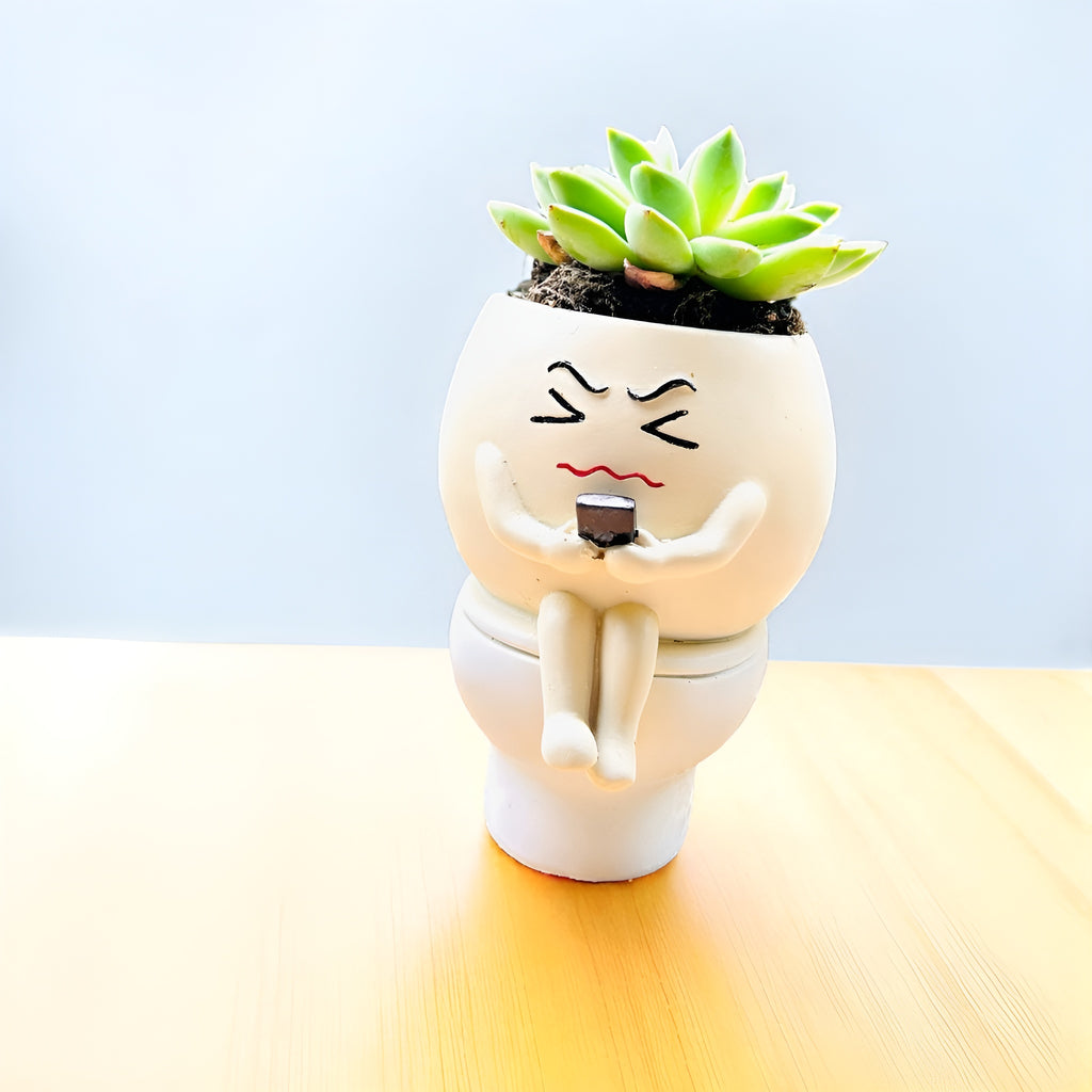 Potty Time Handmade Quirky Table Top Planter